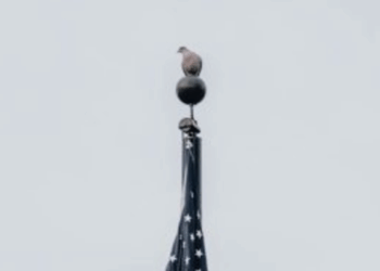 Trump's brazenly one-sided imperialism demands a rethink from the British right