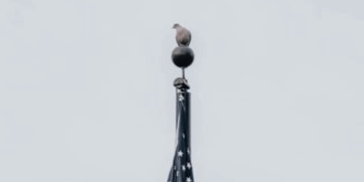 Trump's brazenly one-sided imperialism demands a rethink from the British right