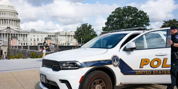 US Murder Rate Plunges To Lowest Level In Over 100 Years, Report Shows