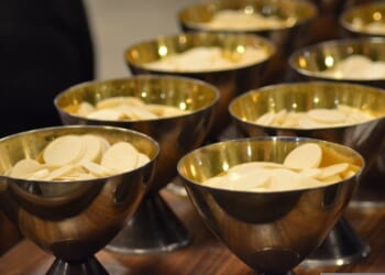 When a Bishop Forbids Kneeling | The American Spectator