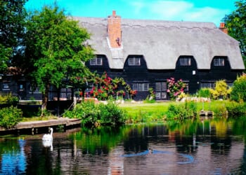 Will Calverley: Cancelling elections does not make difficult issues disappear