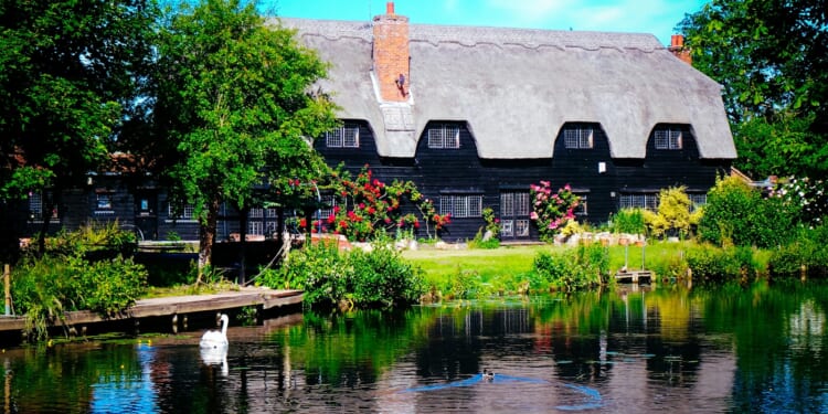 Will Calverley: Cancelling elections does not make difficult issues disappear