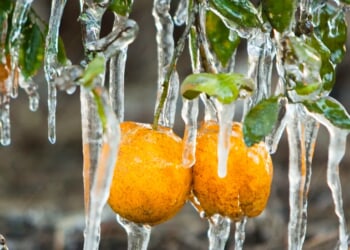 Winter Returning With Fury As Painfully Freezing Temperatures Set To Conquer Eastern United States