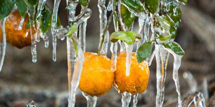 Winter Returning With Fury As Painfully Freezing Temperatures Set To Conquer Eastern United States