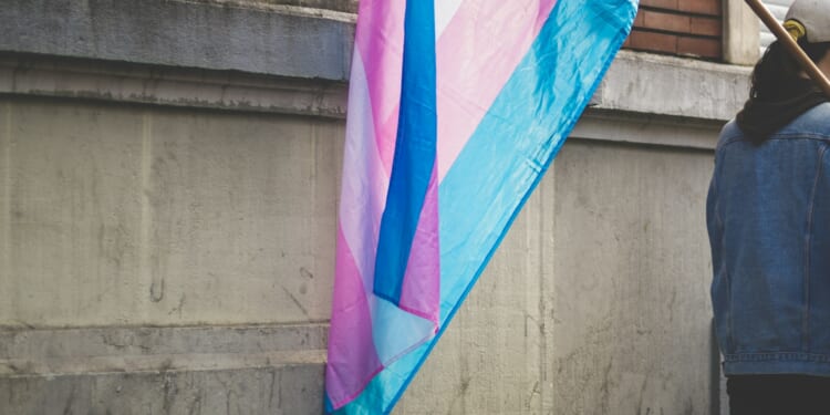 ‘Experts’ Warn US Is on Brink of ‘Trans Genocide’ | The American Spectator