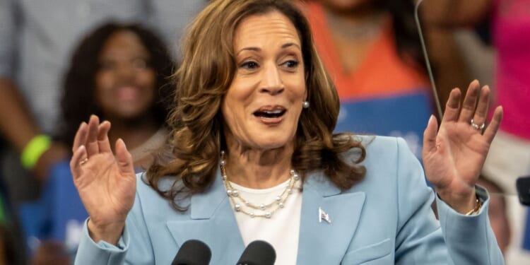 ‘Kamala Harris Day’ Proclaimed in Jackson, Mississippi, Online Reaction Turns Brutal [WATCH]