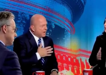 ‘Let Me Talk’: CNN Panelist Reality Checks Anti-ICE Democrat Rep Who Claims Renee Good Was ‘Murdered’