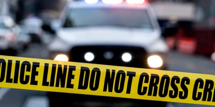 ‘We Didn’t Deserve It’: Mother Of 8-Year-Old Allegedly Killed By Repeat Illegal Alien Drunk Driver Speaks Out