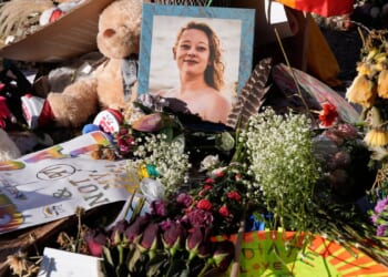 'What a beautiful American we have lost,' Renee Good's brothers tell Democrats