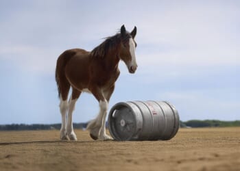 Budweiser, Uber Eats among companies already releasing Super Bowl ads