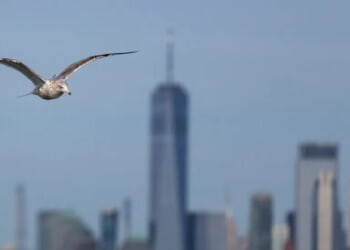 ‘More Sympathy For The Guy That Mugged Me’ — New Yorkers Reveal Final Straw That Made Them Flee City