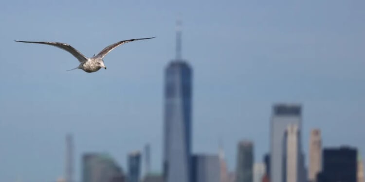 ‘More Sympathy For The Guy That Mugged Me’ — New Yorkers Reveal Final Straw That Made Them Flee City