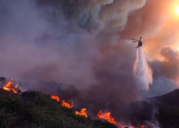 LA firefighter testifies he warned brush fire wasn't out before massive blaze ignited