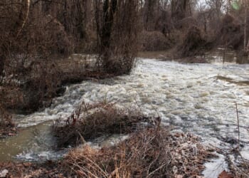 D.C. environmental officials to start testing Potomac and Anacostia rivers for E. coli daily