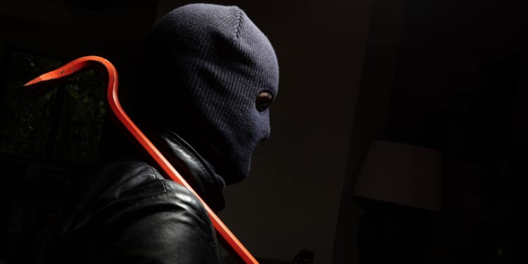 20 Arrested in Illegal Alien Burglary Ring Targeting Houston, Other Areas [WATCH]