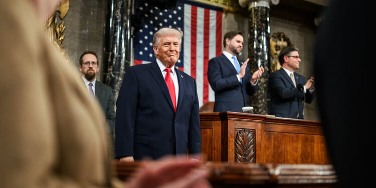 Are Democrats on the Trump Payroll? | The American Spectator