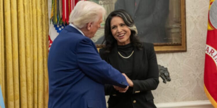 CNN's Dana Bash Seems Really Worried About Tulsi Gabbard Looking Into Fulton County Voter Fraud [WATCH]