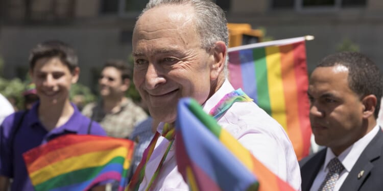 Chuck Schumer Calls Voter ID Jim Crow 2.0 as Black Voters Show Overwhelming Support [WATCH]