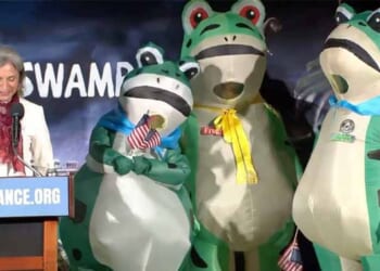 Dems' 'State of the Swamp' Counter Event Features a Stage Full of Frog People – Twitchy