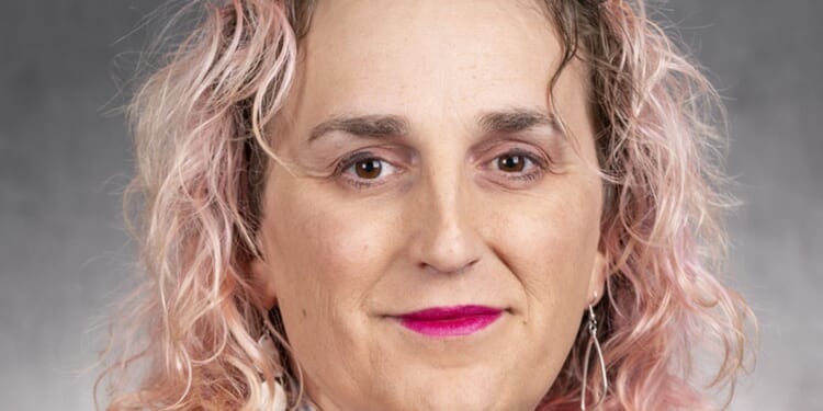 Finke Pushes Bill to Paint Targets on ICE Agents' Backs [WATCH]