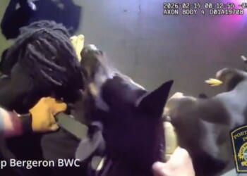 Florida Police K9 Nearly Takes a Hand Off Carjacking Suspect in Daytona Beach [WATCH]