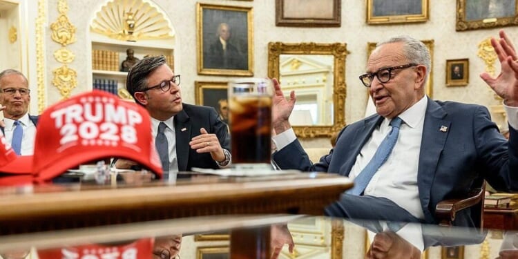 From Insult to Farce, Democrat Anti-SAVE Act Crusade Is Beyond Pathetic | The American Spectator