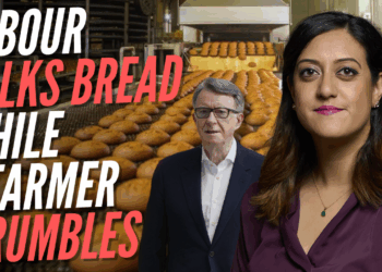 Government PPS Tells MPs to Attend Event About Bread Instead of Mandelson Humble Address – Guido Fawkes