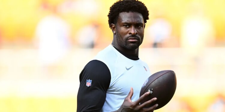 Lions Fan Who Was Nearly Punched By Steelers’ DK Metcalf Files $100 Million Lawsuit Over ‘Life-Altering Statements’