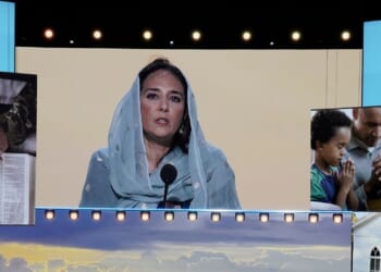 Multiple Lawsuits in Georgia to Purge Illegals from Voter Rolls [WATCH]