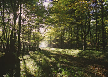Simon Dudley: 'Forest City 1' is a recipe for disaster dressed up as progress, and will end up a migrant city