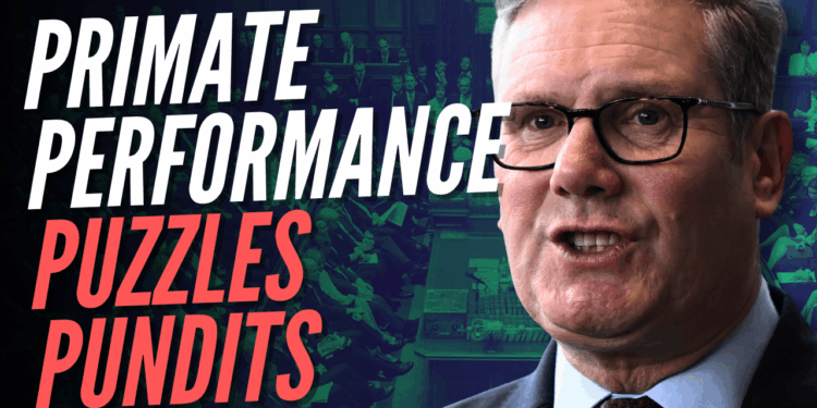 Simon’s Sketch: Punch the Monkey Tries on a Gorilla Suit for PMQs