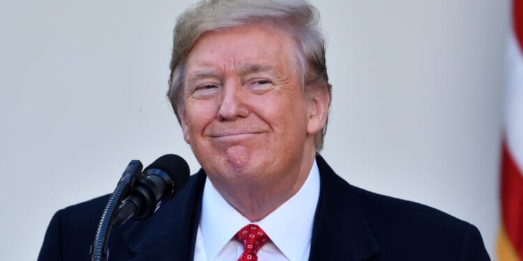 Trump Takes the Leash Off Federal Law Enforcement, Anti-ICE Radicals Put On Notice [WATCH]