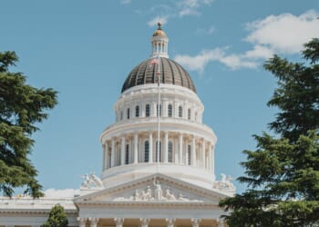 What’s Behind the Wild New Wealth Tax Proposals? | The American Spectator