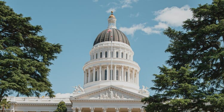 What’s Behind the Wild New Wealth Tax Proposals? | The American Spectator