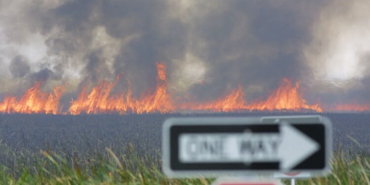 Wildfire That Can Be Seen From Space Erupts To 25,000 Acres In South Florida’s Everglades