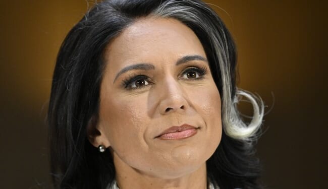 Zero Punches Pulled on Election Security – Twitchy