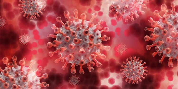 Judicial Watch Sues Defense Dept for Gain-of-Function Records Predating Covid-19