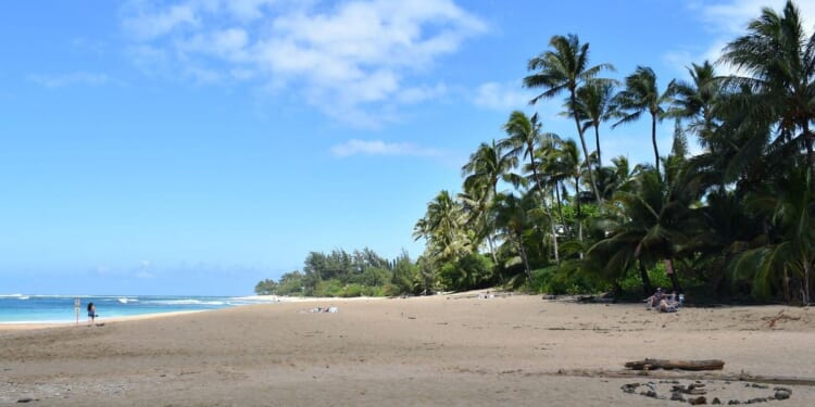 Ancient skeletal remains found on grounds of college prep school in Hawaii