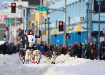 Downtown Anchorage braces for a canine takeover as the Iditarod’s 54th run begins