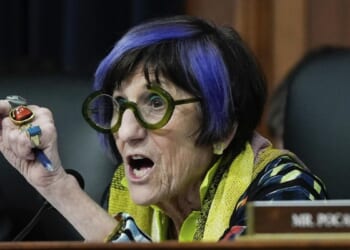 Rep. Rosa DeLauro blames GOP for airport chaos amid the Democrats’ DHS shutdown