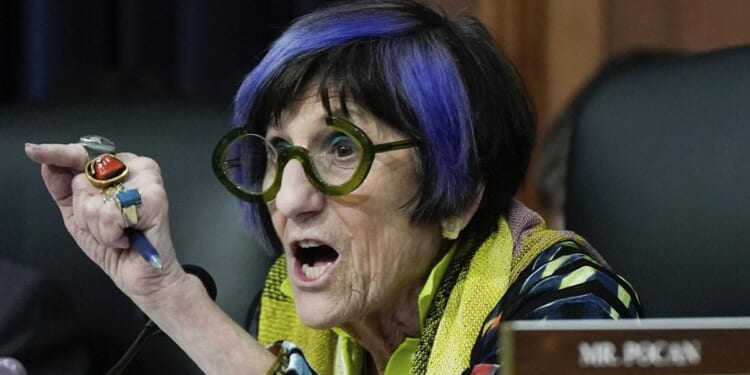 Rep. Rosa DeLauro blames GOP for airport chaos amid the Democrats’ DHS shutdown