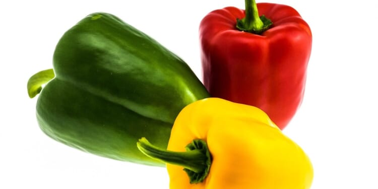 Lord Ashcroft: Can Starmer negotiate the left’s coalition of chaos?