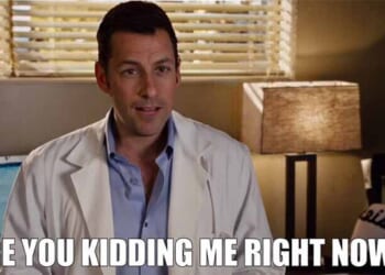 MS NOW Hosts Wonder If the Michigan Synagogue Attack Is the Fault of... Kash Patel and Tulsi Gabbard – Twitchy