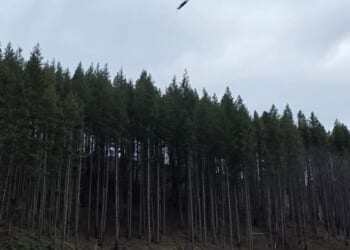 Oregon Army National Guard hoists injured logger to safety in Mount Hood National Forest