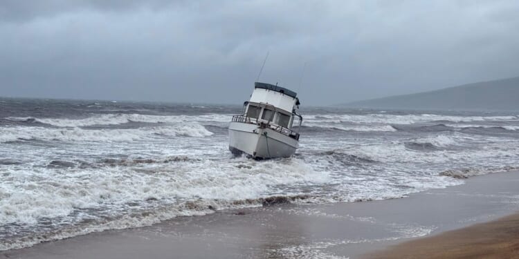 High winds cause power outages and property destruction as wild March weather blows in