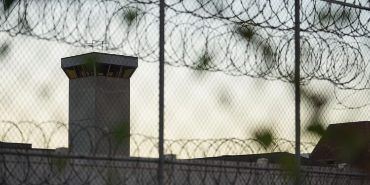 Feds say Hawaii crime lord committed suicide to stop Uncle Sam from seizing $20 million fortune