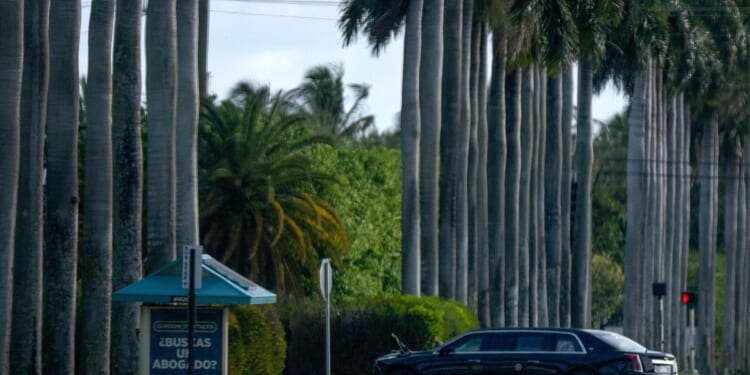 Two weeks into war with Iran, Trump has been knocked back on his political heels