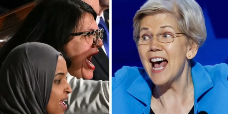 Grab Some Popcorn: Liberal On Liberal Violence Set To Explode Outside Chicago In 9th Congressional District