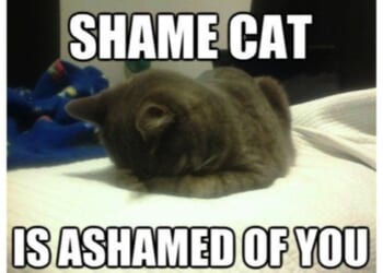 Looksmaxxing Streamer Clavicular Arrested for Battery in FL – Gator Shooting Also Under FWC Investigation – Twitchy