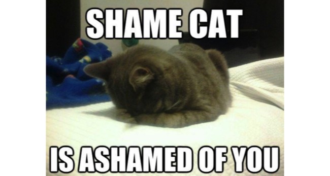 Looksmaxxing Streamer Clavicular Arrested for Battery in FL – Gator Shooting Also Under FWC Investigation – Twitchy